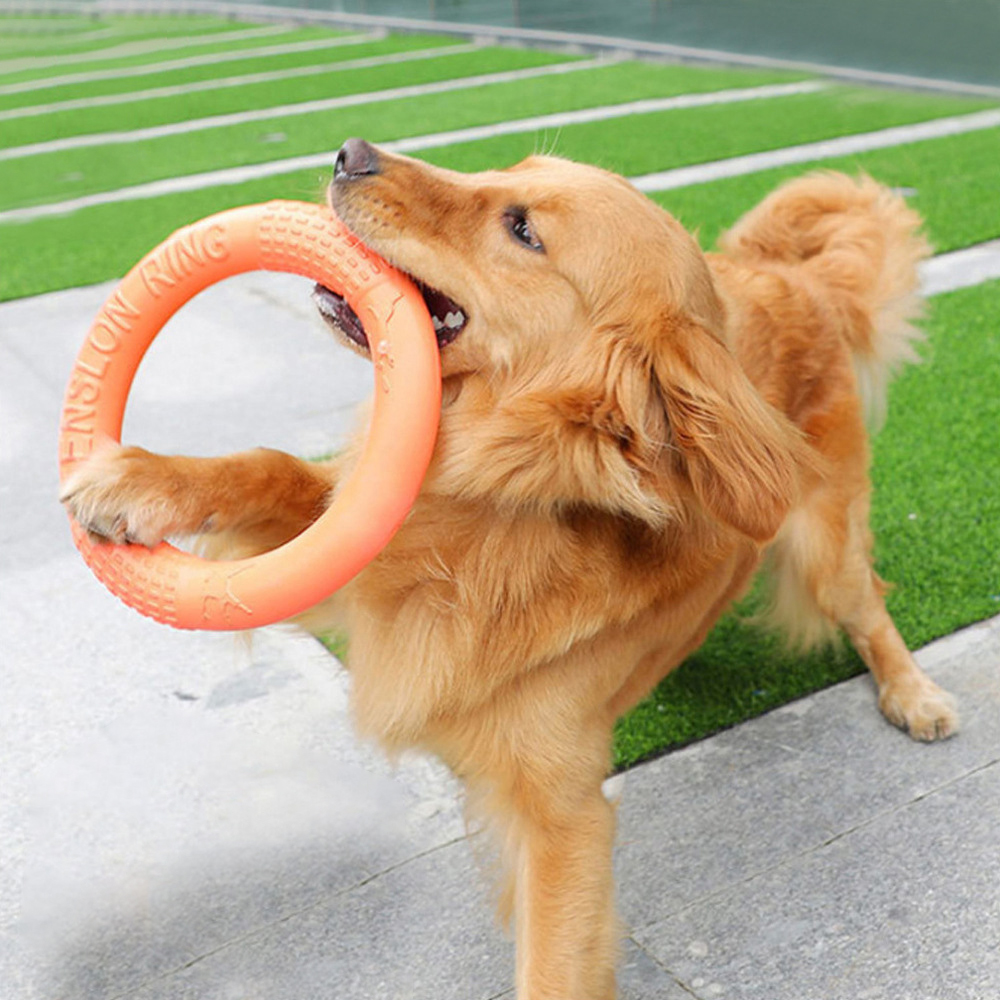 Flying Disc Dog Training Toy - 1 szt. Pomarańczowy zabawki dla psów