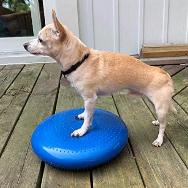 Flying Disc Dog Training Toy - Pomoce szkoleniowe dla psów Równowaga Latający