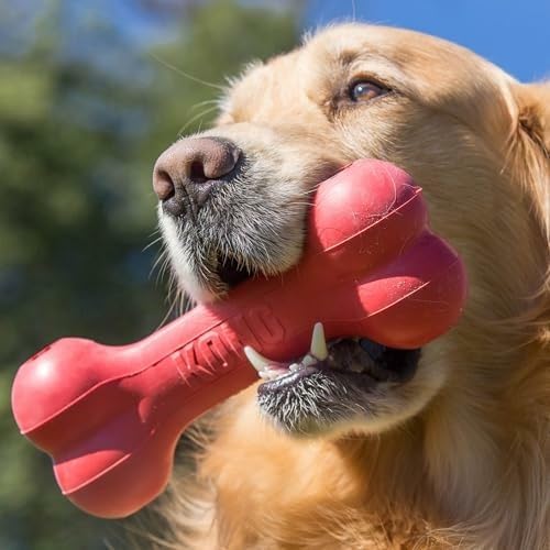 Rubber Treat Dispensing Dog Toy - Klasyczna, trwała kostka dla psa z
