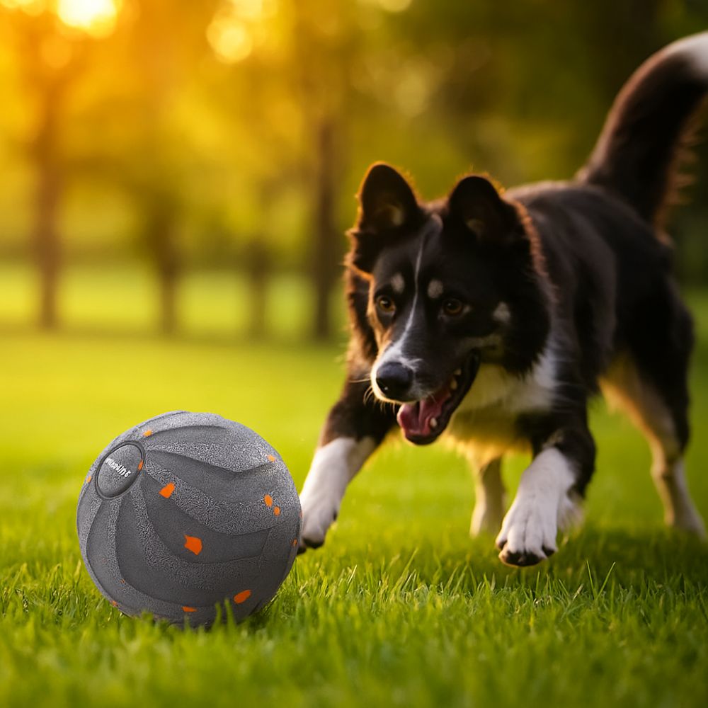 Automatic Moving Dog Ball - Odporna na ugryzienia inteligentna zabawka dla