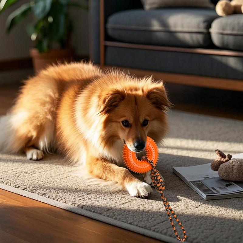 Dog Rope Toy Aggressive Chewers - Piszczące zabawki dla psów Kolczasty pierścień