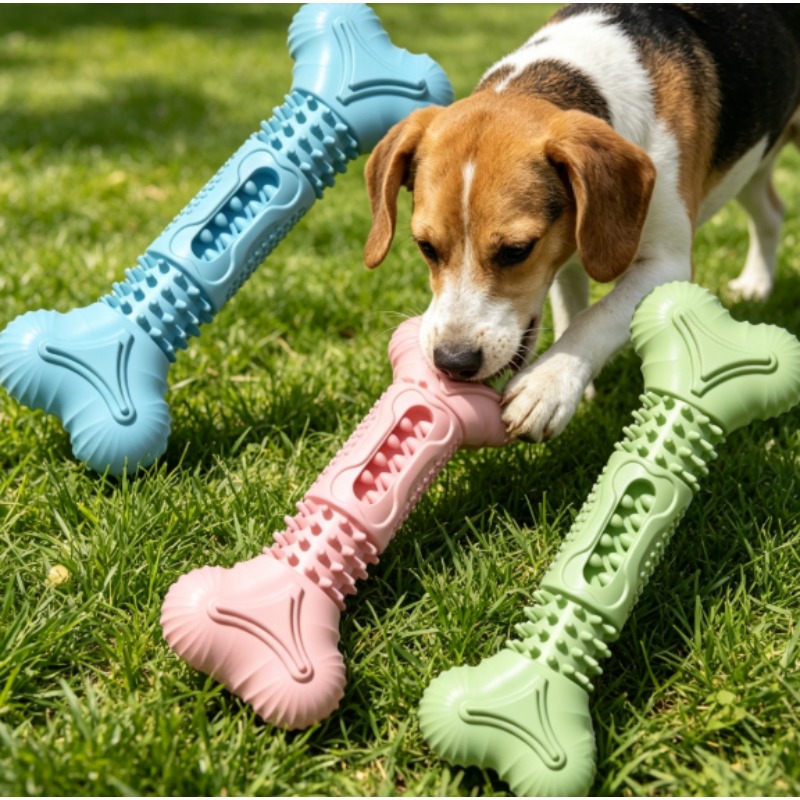Teeth Cleaning Dog Chew Bone - Nowy, wytrzymały zestaw zabawek do żucia