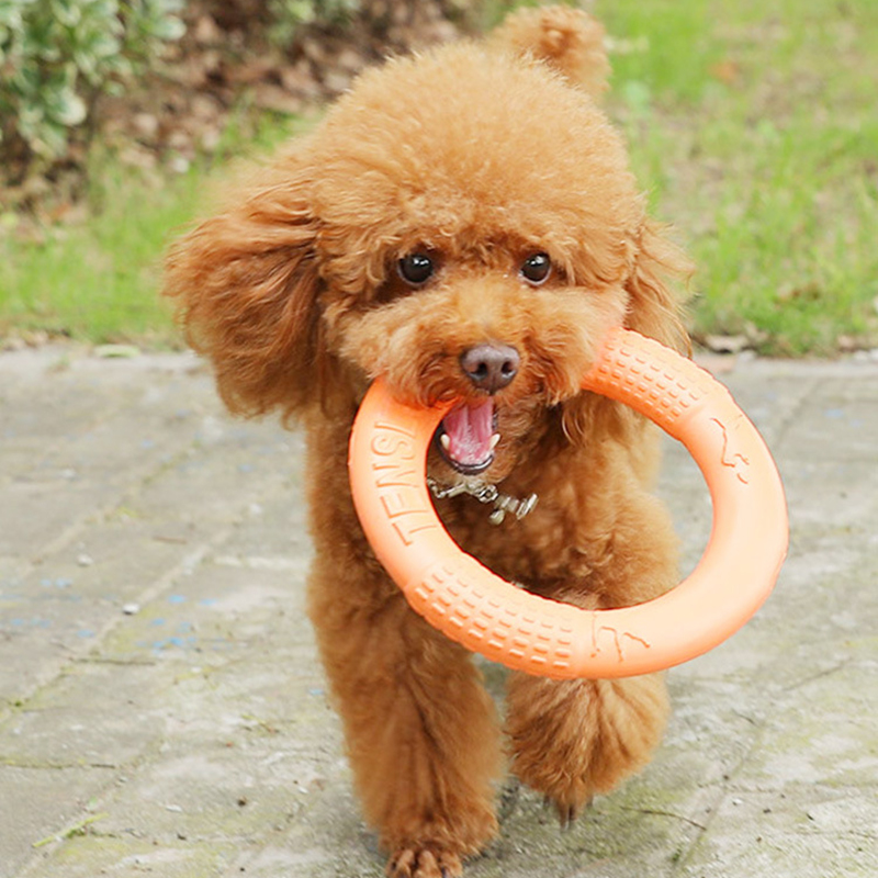 1 szt. Pomarańczowy zabawki dl – Flying Disc Dog Training Toy recenzja i cena