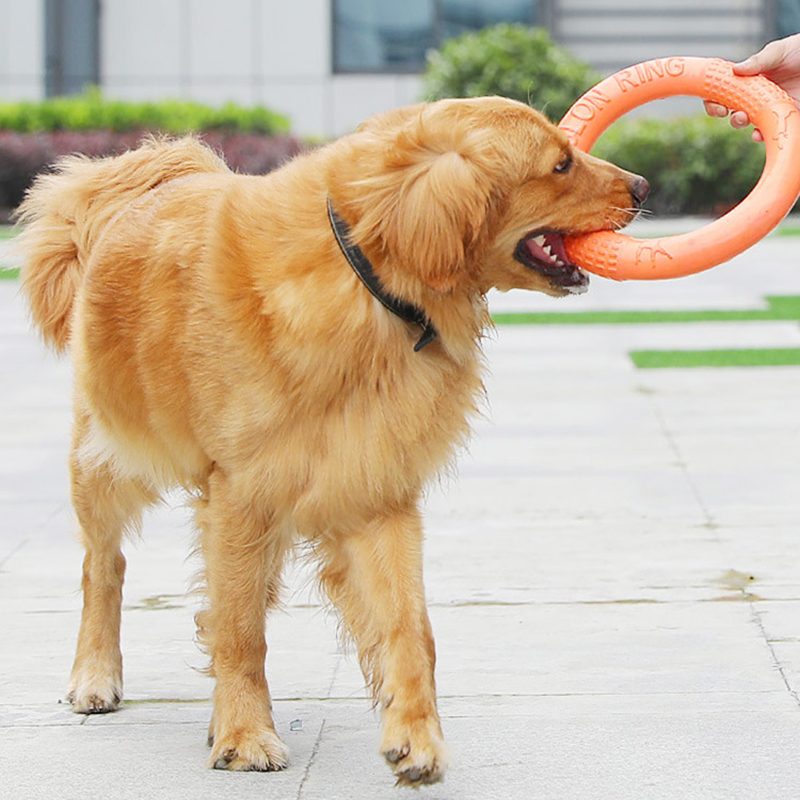 1 szt. Pomarańczowy zabawki dl – Flying Disc Dog Training Toy recenzja i cena