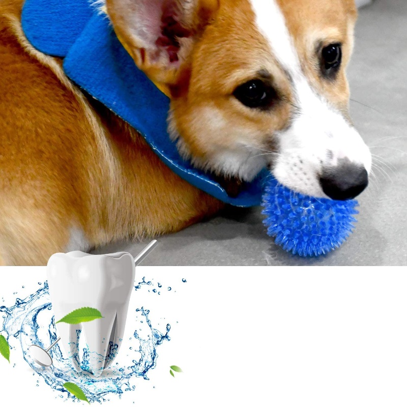Piłka-zabawka dla kotów i psów – Interactive Squeaky Plush Dog Toy recenzja i cena