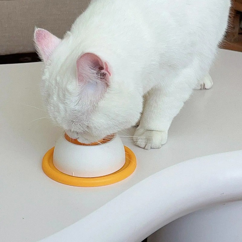Miska spowalniająca jedzenie d – Dog Puzzle Feeder Toy recenzja i cena