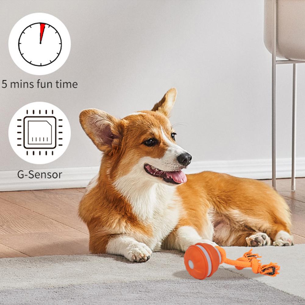 Piłka dla psa, interaktywna za – Automatic Moving Dog Ball recenzja i cena