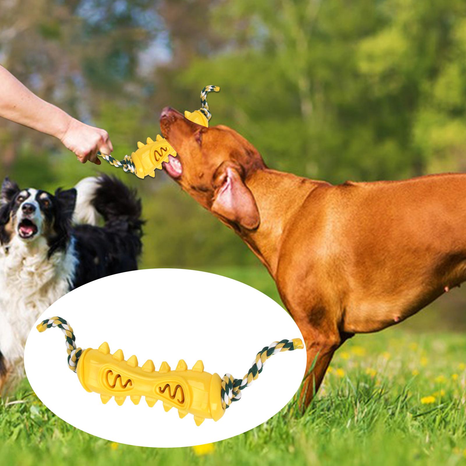 Zabawki do żucia dla agresywny – Dog Rope Toy Aggressive Chewers recenzja i cena