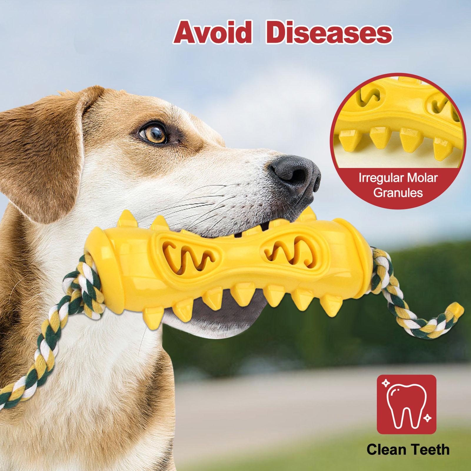 Zabawki do żucia dla agresywny – Dog Rope Toy Aggressive Chewers recenzja i cena