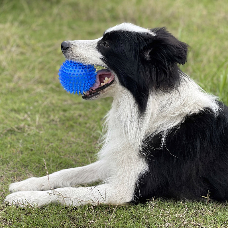 Zabawka dla psa z TPR, piszczą – Interactive Squeaky Plush Dog Toy recenzja i cena