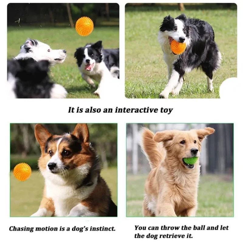 Zabawka dla psa z TPR, piszczą – Interactive Squeaky Plush Dog Toy recenzja i cena