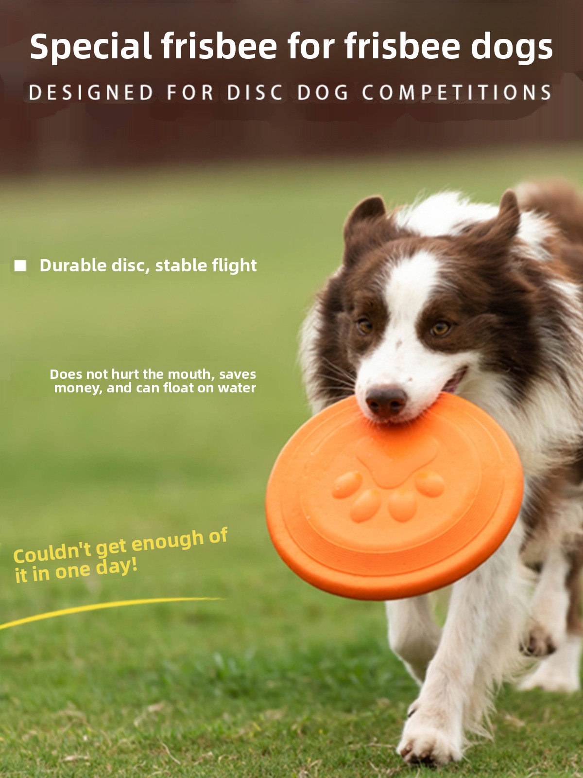 Latający dysk dla psa, miękki, – Flying Disc Dog Training Toy recenzja i cena