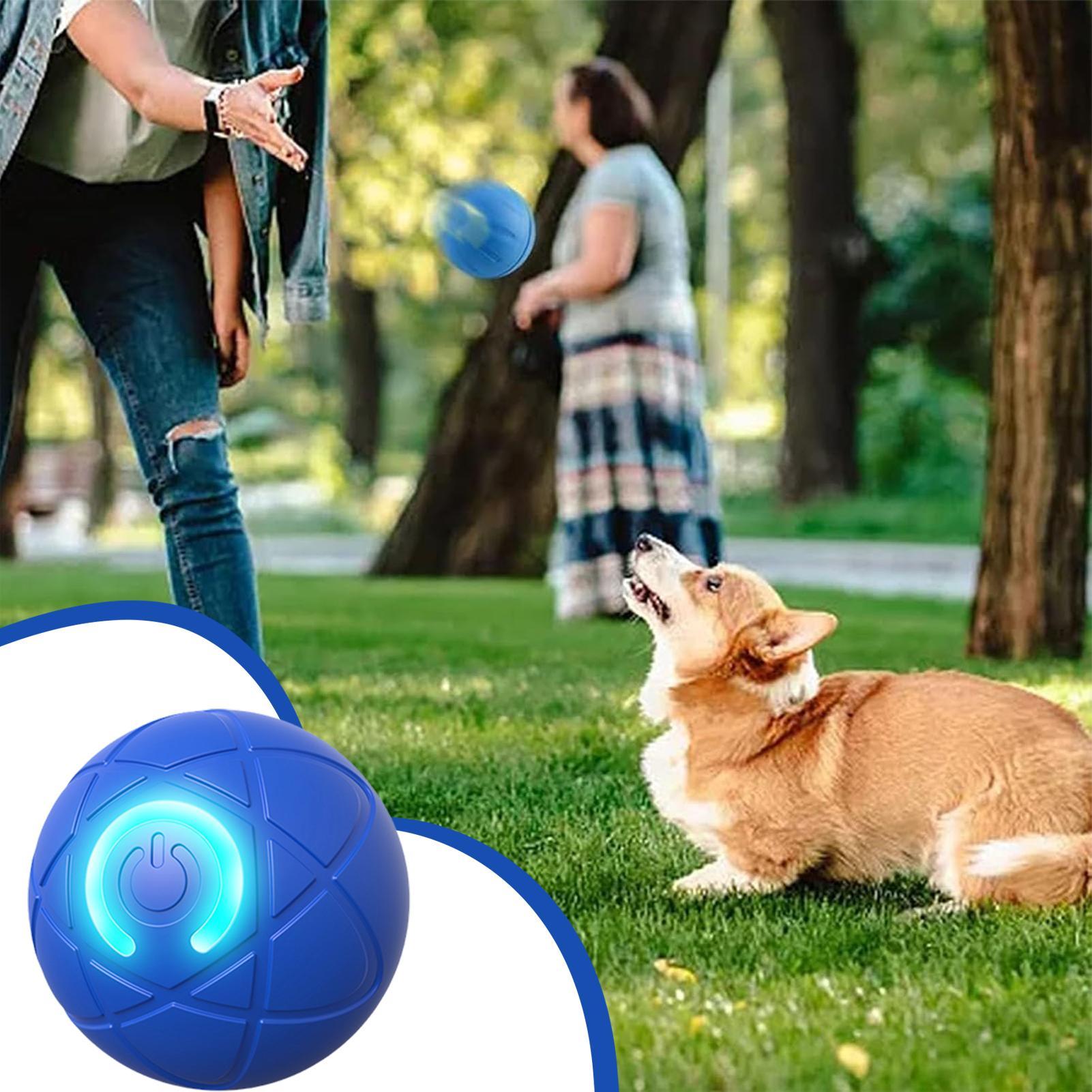 Inteligentne interaktywne zaba – Automatic Moving Dog Ball recenzja i cena