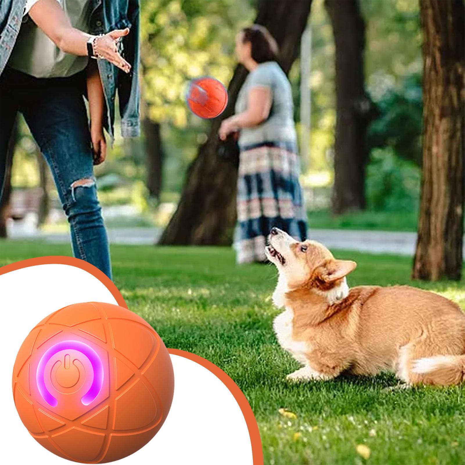 Inteligentne interaktywne zaba – Automatic Moving Dog Ball recenzja i cena