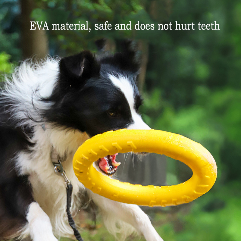 EVA Durable Dog Toys 4 Pack Fl – Indestructible Dog Chew Toy recenzja i cena