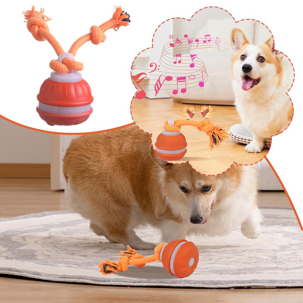 Inteligentna, ładowalna piłka  – Automatic Moving Dog Ball recenzja i cena