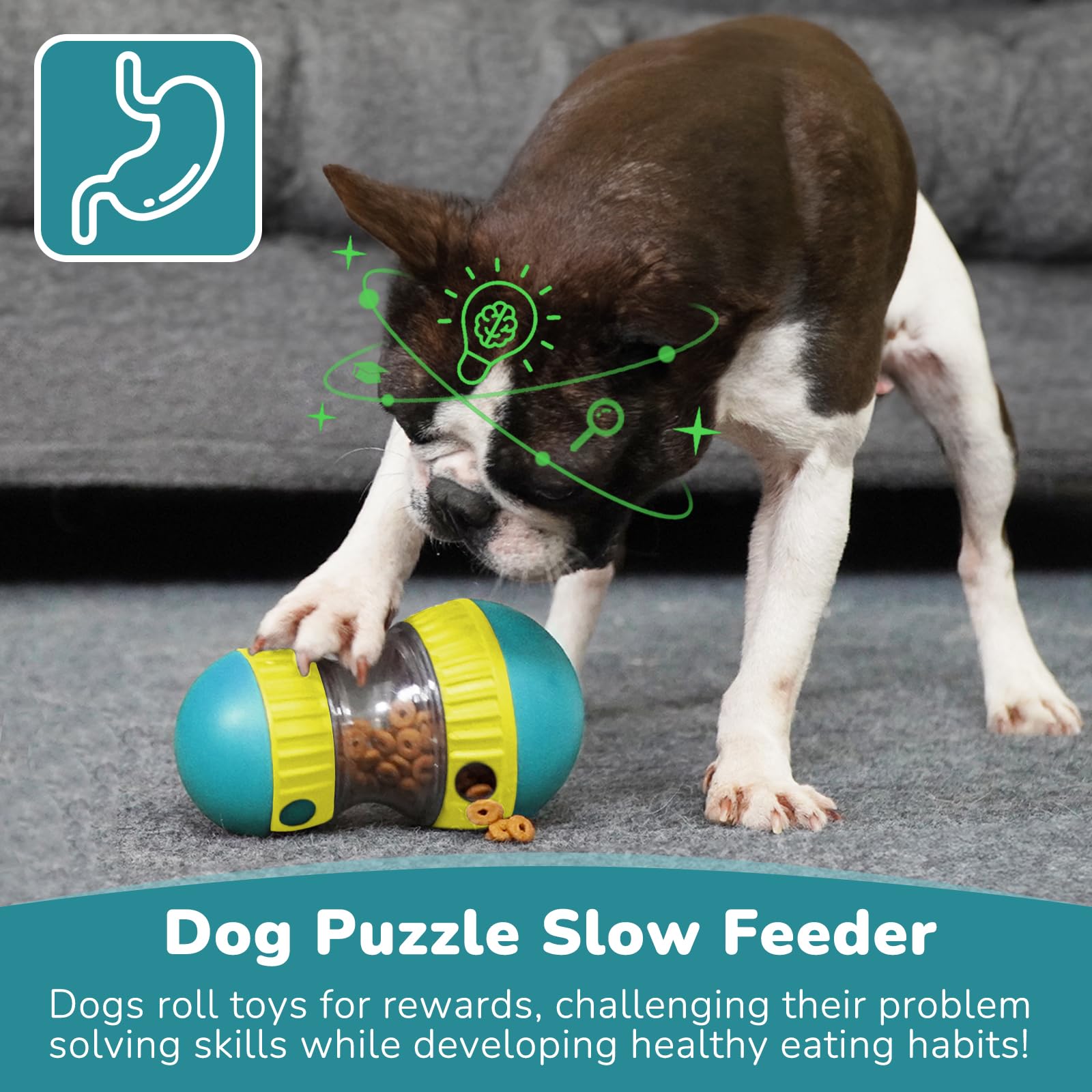 Zabawki dla psów i regulowany  – Dog Puzzle Feeder Toy recenzja i cena