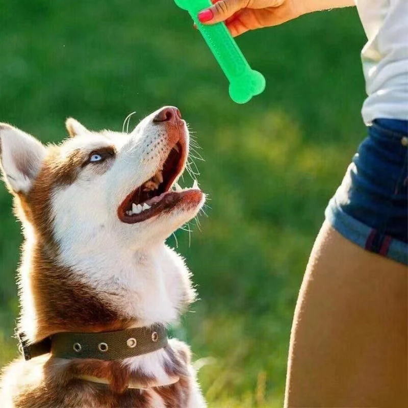 Super Wytrzymała Zabawka Gryza – Teeth Cleaning Dog Chew Bone recenzja i cena