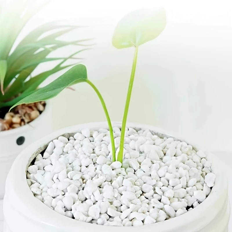 1L wysokiej jakości perlitowa  – Pet Beds recenzja i cena