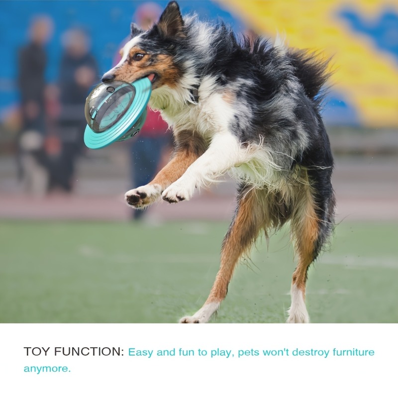 Interaktywne zabawki dla psów  – Dog Puzzle Feeder Toy recenzja i cena