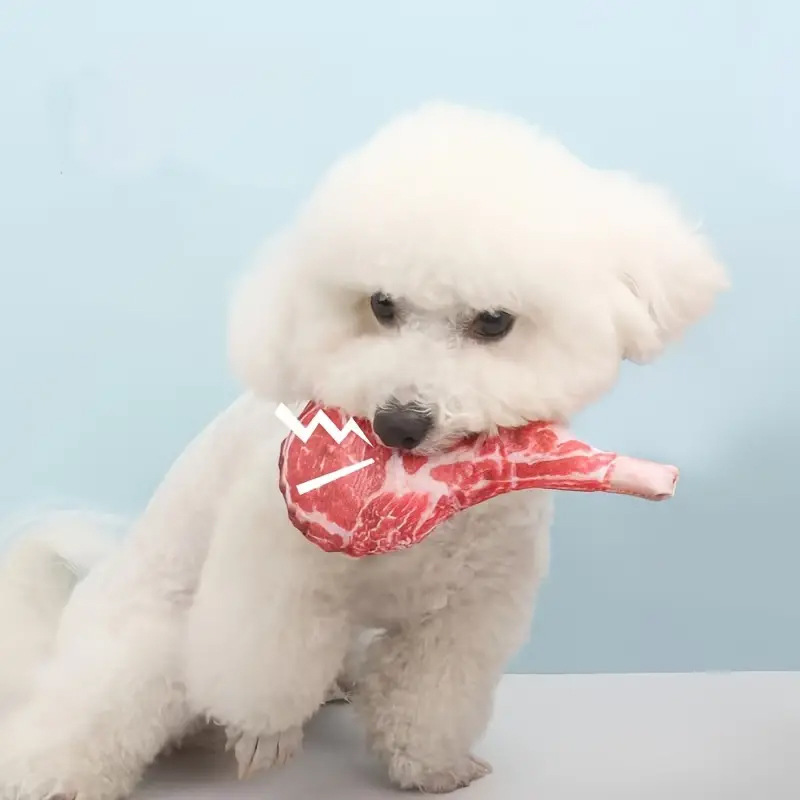 Symulowana zabawka dla psa w k – Teeth Cleaning Dog Chew Bone recenzja i cena