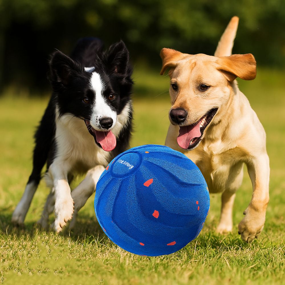 Odporna na ugryzienia intelige – Automatic Moving Dog Ball recenzja i cena