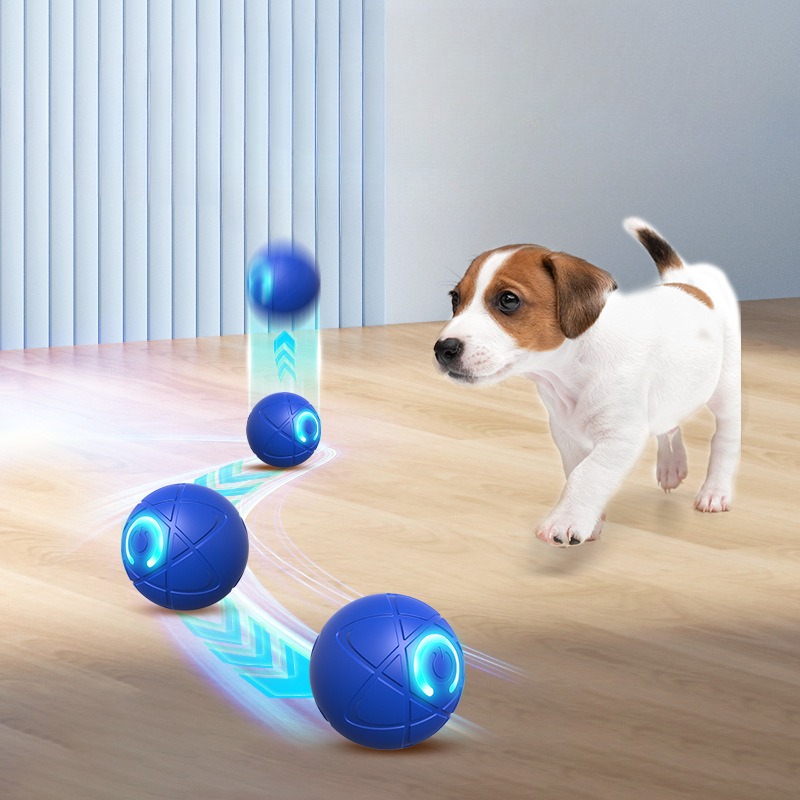 Inteligentna zabawka dla psa P – Automatic Moving Dog Ball recenzja i cena