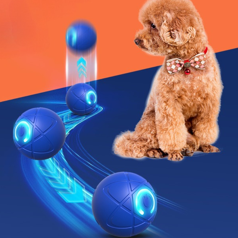 Inteligentna zabawka dla psa P – Automatic Moving Dog Ball recenzja i cena