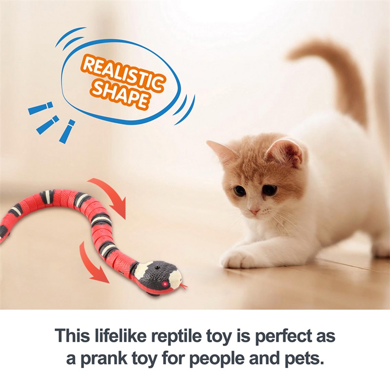 Elektryczna indukcja wąż zabaw – Cat Toys recenzja i cena
