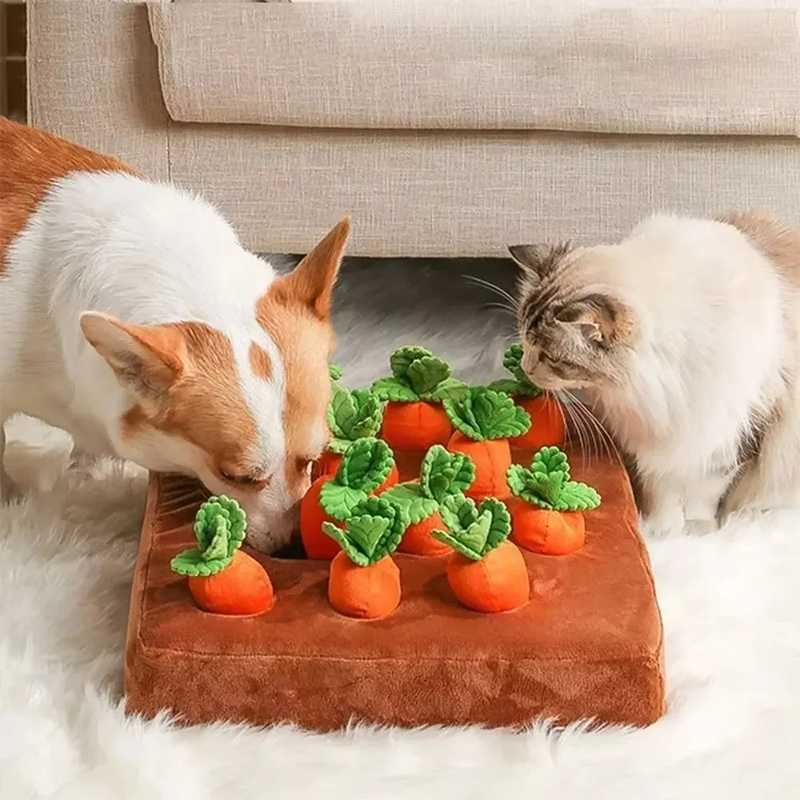 Mata węchowa dla psów, interak – Snuffle Mat For Dogs recenzja i cena
