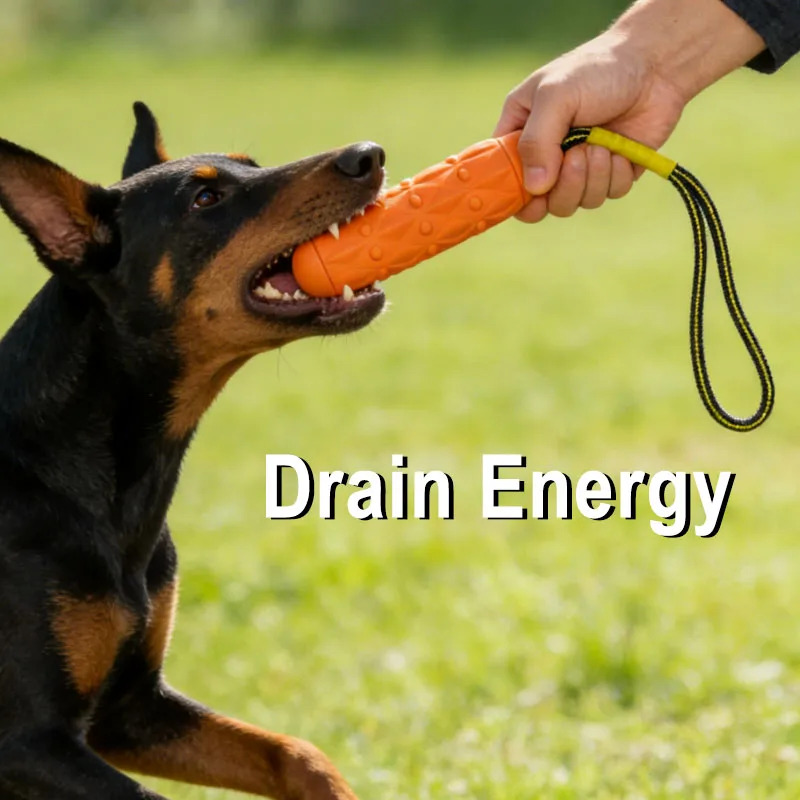 Niezniwalna zabawka do żucia d – Dog Rope Toy Aggressive Chewers recenzja i cena
