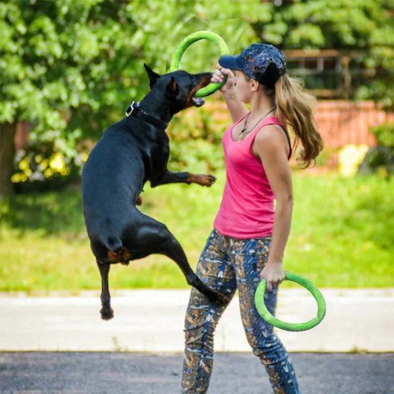 Zabawki dla psów latające dysk – Interactive Squeaky Plush Dog Toy recenzja i cena