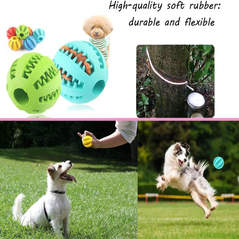 Interaktywna, nietoksyczna, od – Indestructible Dog Chew Toy recenzja i cena