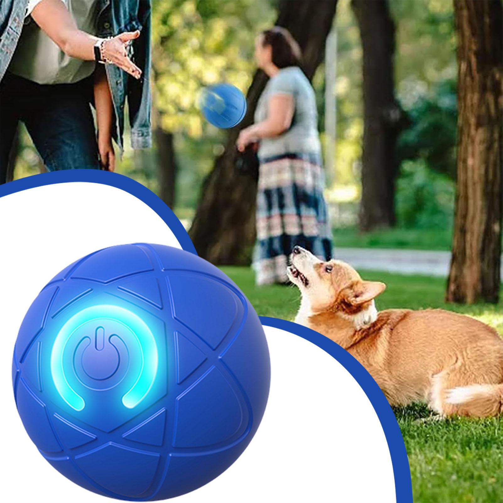 1 szt. Piłka dla zwierząt, aut – Automatic Moving Dog Ball recenzja i cena