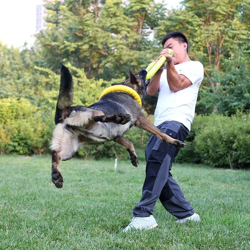 Zabawki dla psów, latające dys – Flying Disc Dog Training Toy recenzja i cena