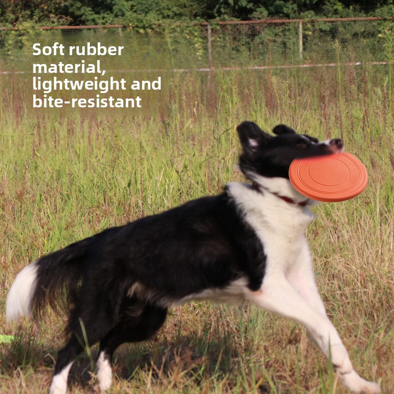 Odporna na ugryzienia, pływają – Flying Disc Dog Training Toy recenzja i cena