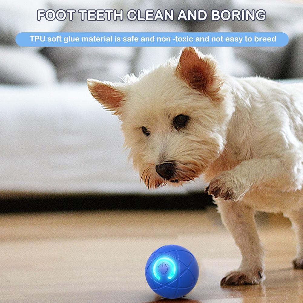 Elektroniczna interaktywna zab – Automatic Moving Dog Ball recenzja i cena