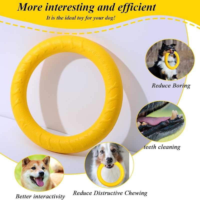 Zabawki dla psów, latające dys – Flying Disc Dog Training Toy recenzja i cena