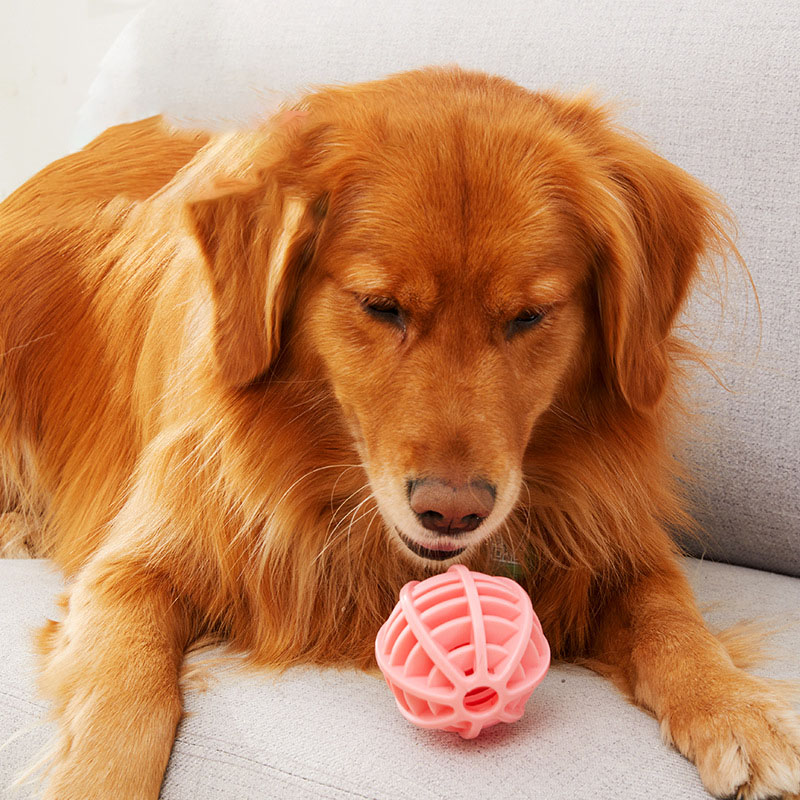 Wytrzymała gumowa piłka dla ps – Rubber Treat Dispensing Dog Toy recenzja i cena