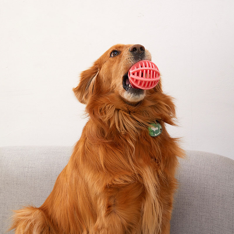 Wytrzymała gumowa piłka dla ps – Rubber Treat Dispensing Dog Toy recenzja i cena