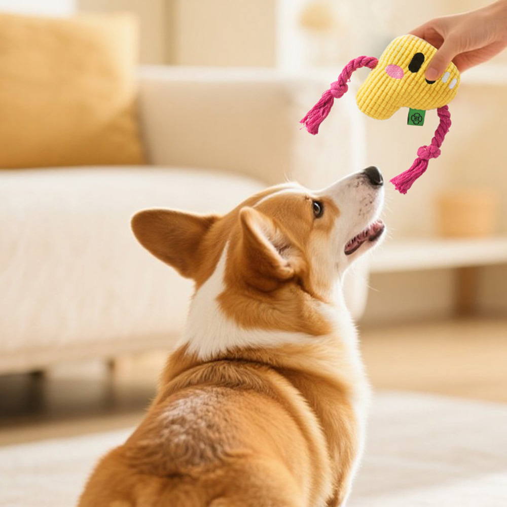 Zabawka do żucia dla psa - Wyt – Dog Rope Toy Aggressive Chewers recenzja i cena