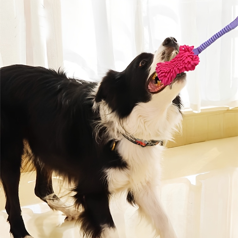 Wytrzymałe zabawki dla psów dl – Indestructible Dog Chew Toy recenzja i cena