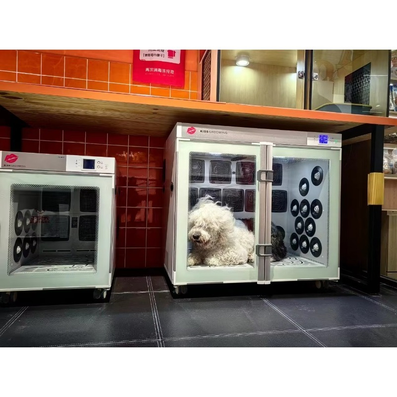 Wielofunkcyjna sušarka dla zwi – Pet Grooming recenzja i cena