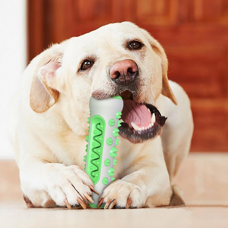 Gryzak dla psa z TPR, trwały p – Teeth Cleaning Dog Chew Bone recenzja i cena