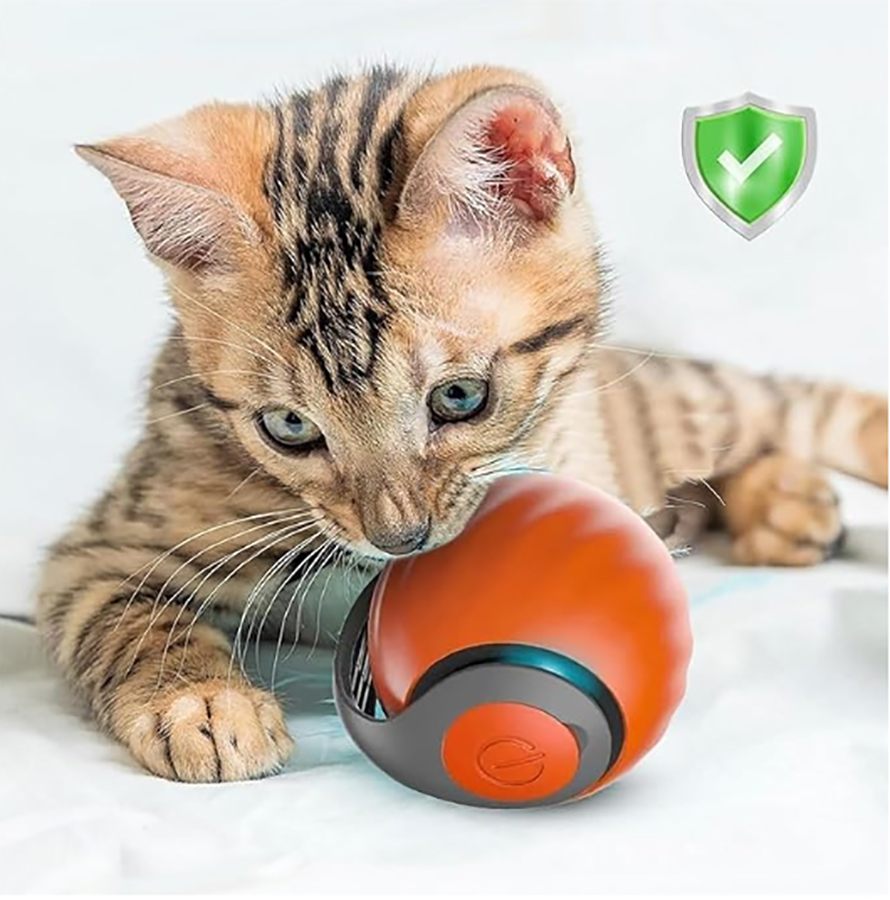 Interaktywna piłka dla kota, a – Automatic Moving Dog Ball recenzja i cena