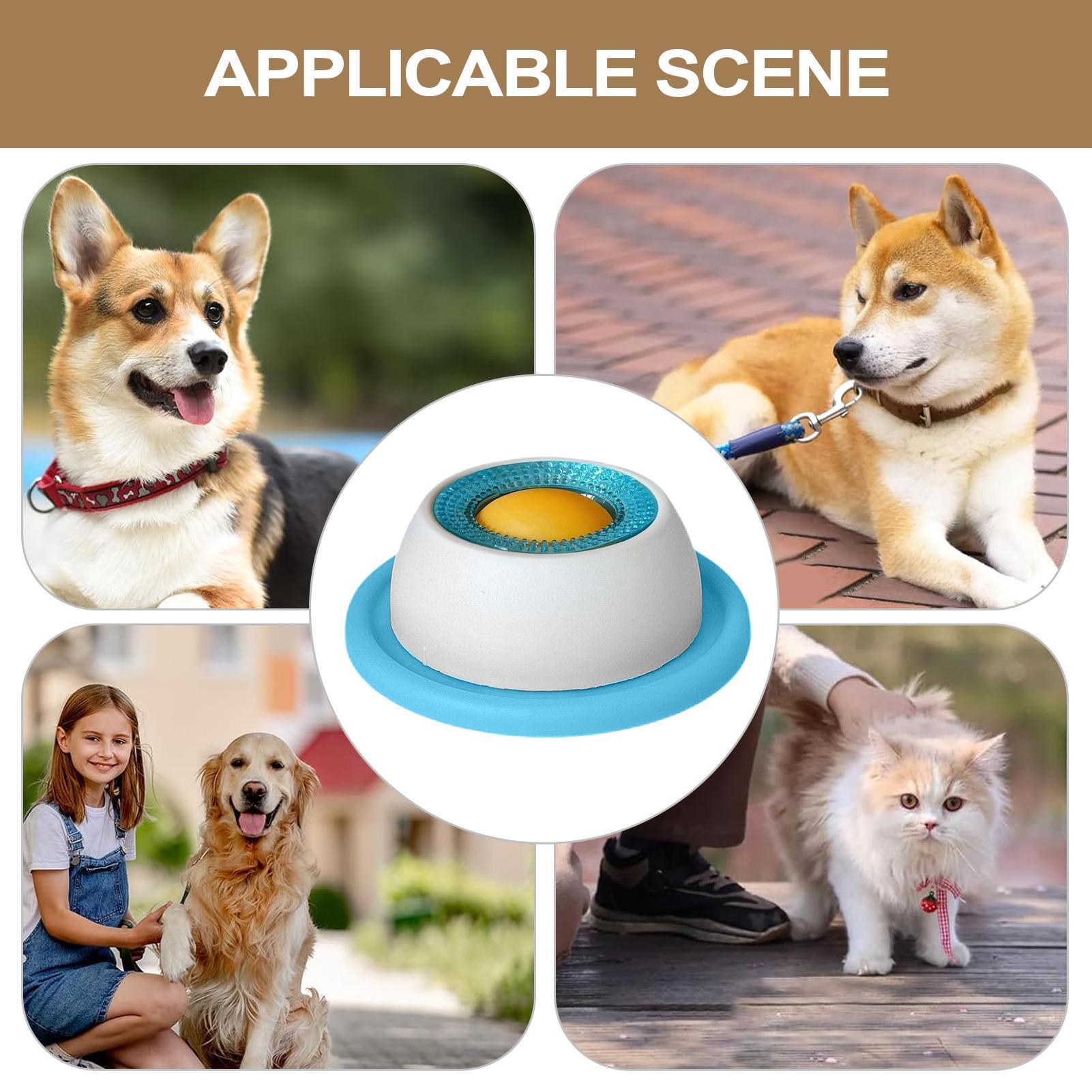 Zabawki dla psów, akcesoria do – Dog Puzzle Feeder Toy recenzja i cena
