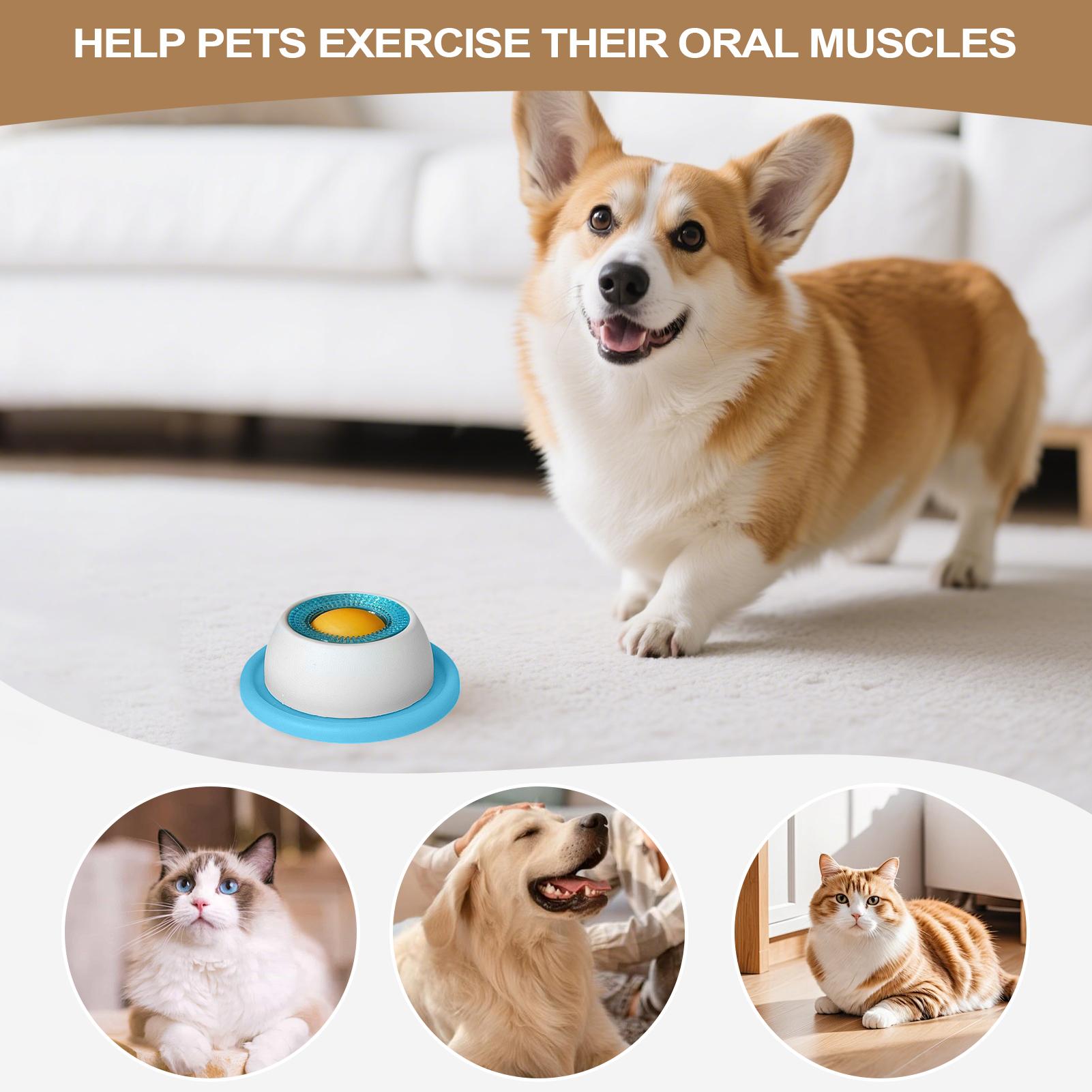 Zabawki dla psów, akcesoria do – Dog Puzzle Feeder Toy recenzja i cena