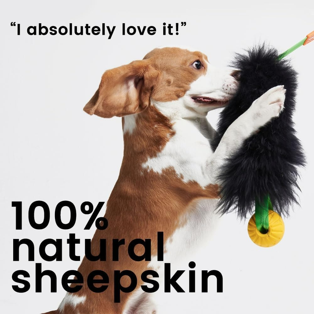 Zabawka dla psa z linką, inter – Indestructible Dog Chew Toy recenzja i cena