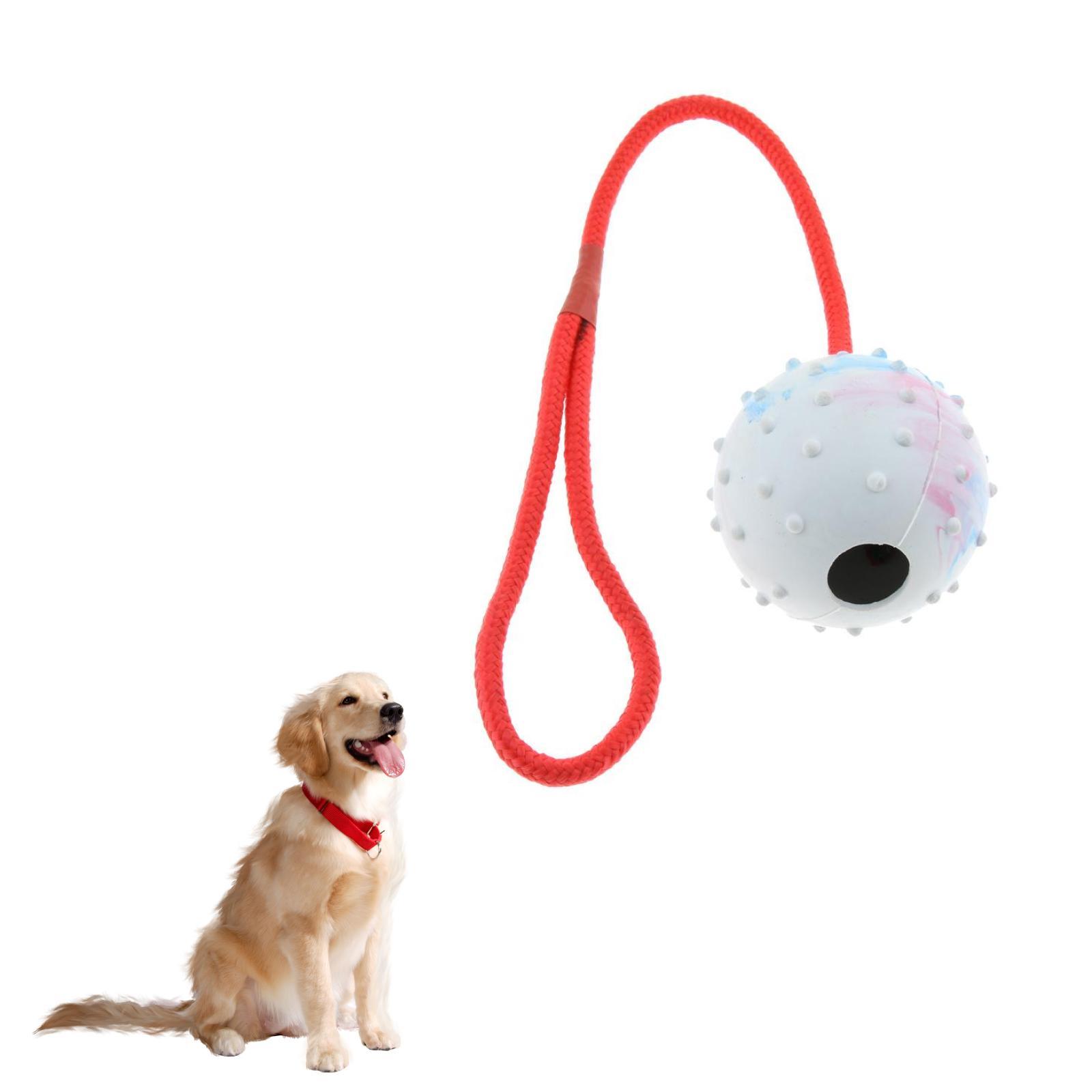 Zabawka do treningu psów, mięk – Rubber Treat Dispensing Dog Toy recenzja i cena